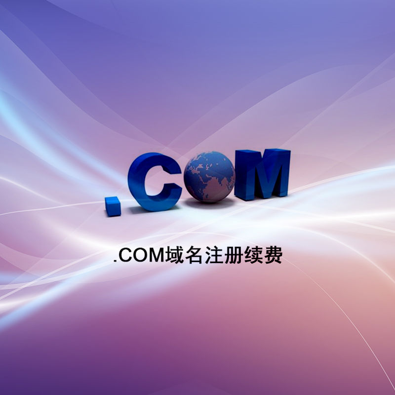 .com 域名注册续费